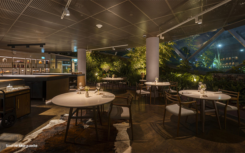 Marguerite's elegant indoor garden dining, perfect for a sensory evening